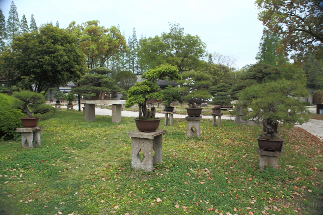 EOS 5D Mark II16_04_20135090.JPG